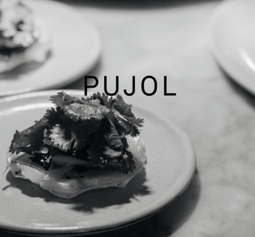 Pujol
