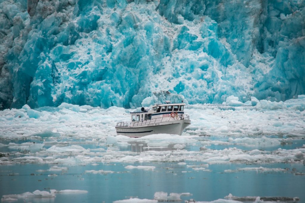 Cruise around the glaciers