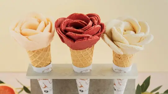 Amorino playa Del Carmen Calle 28