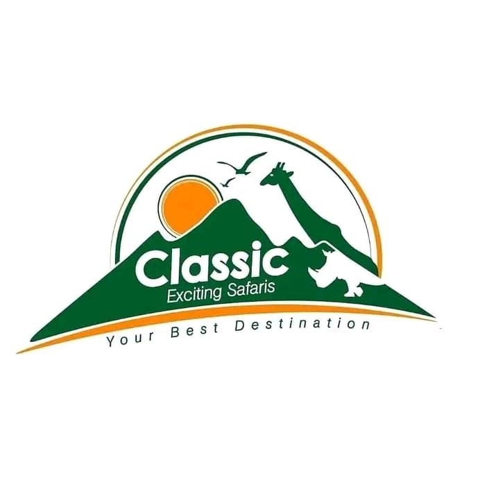 Classic Exciting Safari