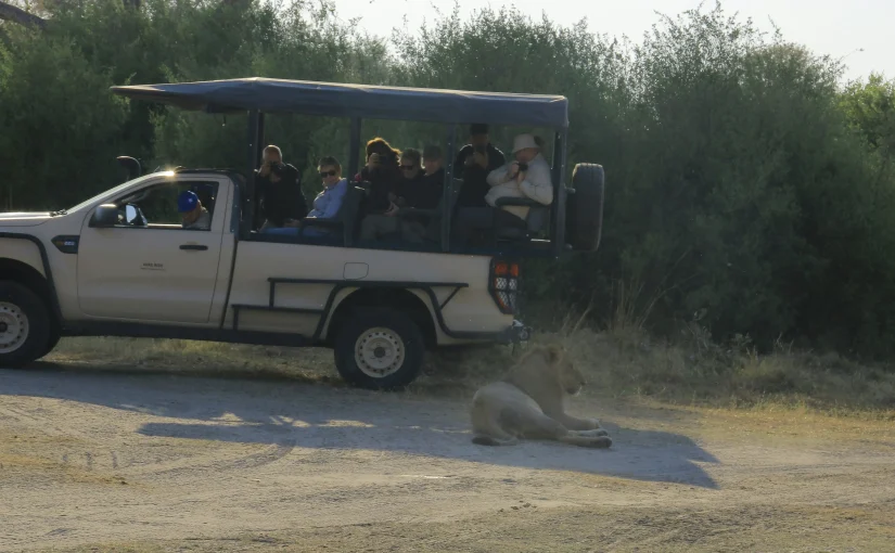 Discovering the Majesty of African Safaris