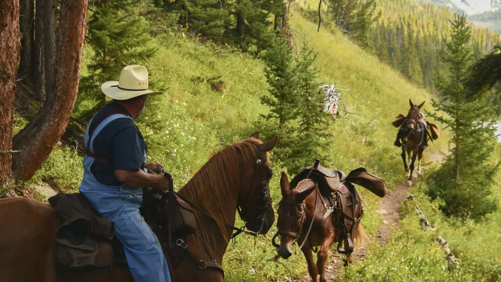 Horseback Riding Bariloche