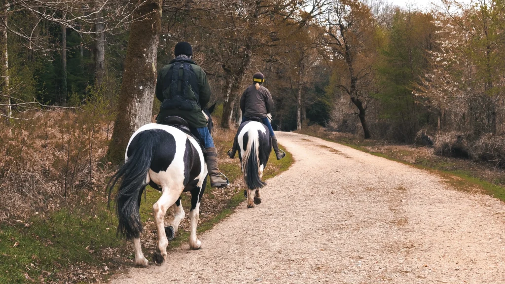 Horseback Riding El Calafate