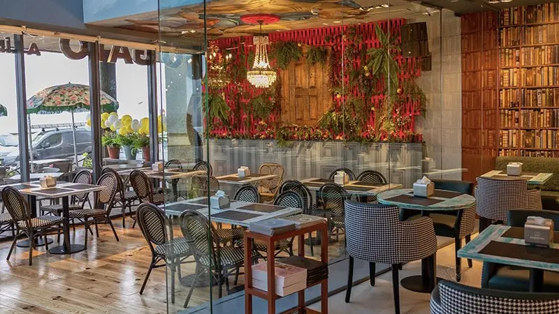 O Gato comeu-te a língua