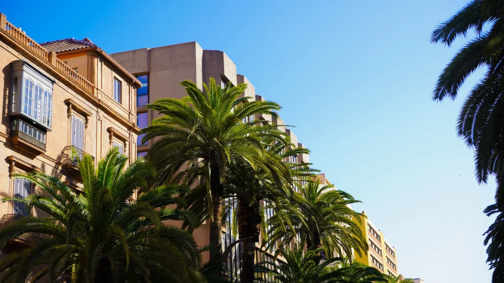 Plaza de la Constitución