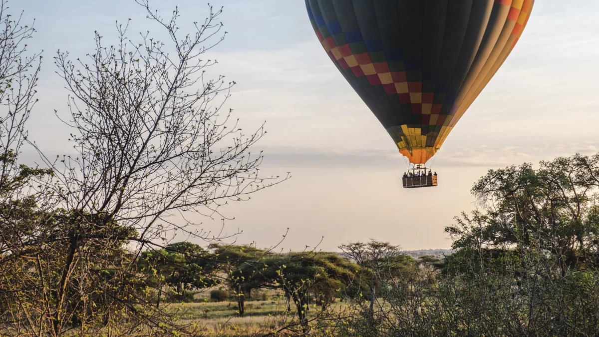Serengeti Hot Air Balloon Safari A Sky-High Adventure